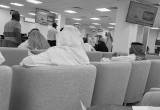 صورة المؤسسة العامة للتأمينات الاجتماعية - رقم 14848