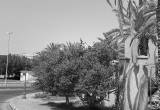 صورة مؤسسة الملك عبدالله لوالديه للإسكان التنموي - رقم 14862