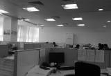 صورة القرق للاستشارات - رقم 14970