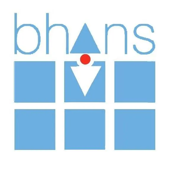 BHNS Engineering Consultants Logo