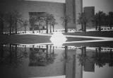 صورة مؤسسة قطر - رقم 15231