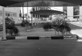 صورة المنطقة الحرة بالحمرية - رقم 15473