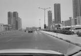 صورة مركز إكسبو الشارقة - رقم 15556