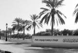 Photo Arabic Language Academy in Sharjah - Number 15612