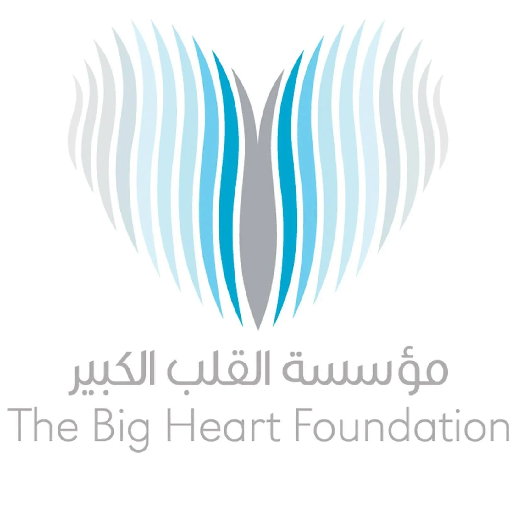 The Big Heart Foundation - Logo