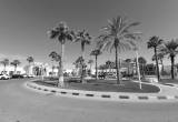 صورة مؤسسة زايد العليا لأصحاب الهمم - رقم 15863