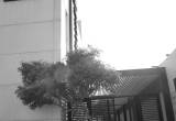 صورة شركة هاتش - رقم 15958