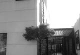 صورة شركة هاتش - رقم 15949