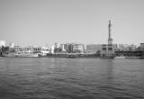 صورة دائرة المالية - دبي - رقم 15984