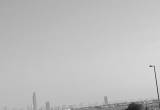صورة مؤسسة الاتصالات المتخصصة-نداء - رقم 16113