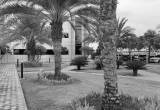 صورة مؤسسة الاتصالات المتخصصة-نداء - رقم 16112