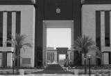صورة الهيئة القومية للتأمين الاجتماعي - رقم 16142
