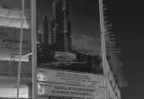 صورة سلطة دبي للتطوير - رقم 16155