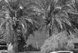 صورة سلطة دبي للتطوير - رقم 16154
