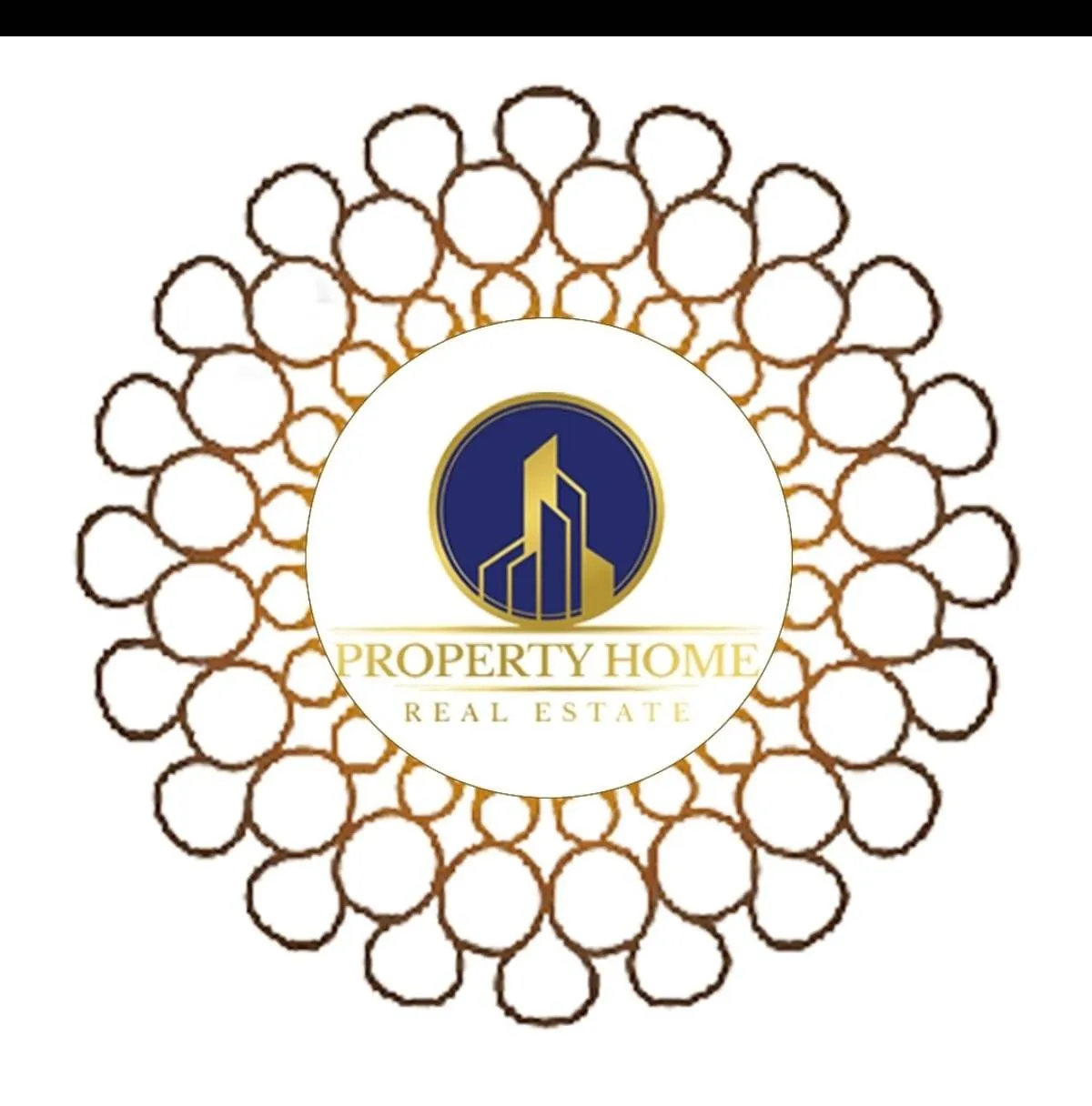 Property Home Real Estate LLC Logo