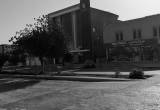 صورة شركة جنى الاستثمارية القابضة - رقم 16482
