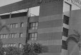 صورة حازم حسن محاسبون قانونيون ومستشارون - رقم 16856