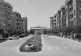 صورة ارابيا للاسكان والتعمير - رقم 17087
