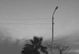 صورة عامر جروب - رقم 17381