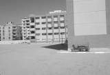 صورة المدارس الرسمية الدولية - مصطفي النحاس - رقم 17606