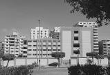 صورة المدارس الرسمية الدولية - مصطفي النحاس - رقم 17597