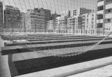 صورة المدارس الرسمية الدولية - مصطفي النحاس - رقم 17601