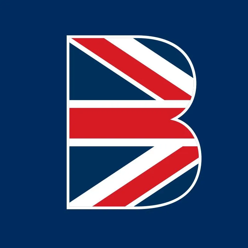 المدرسة البريطانية الدولية بالمعادى - Logo