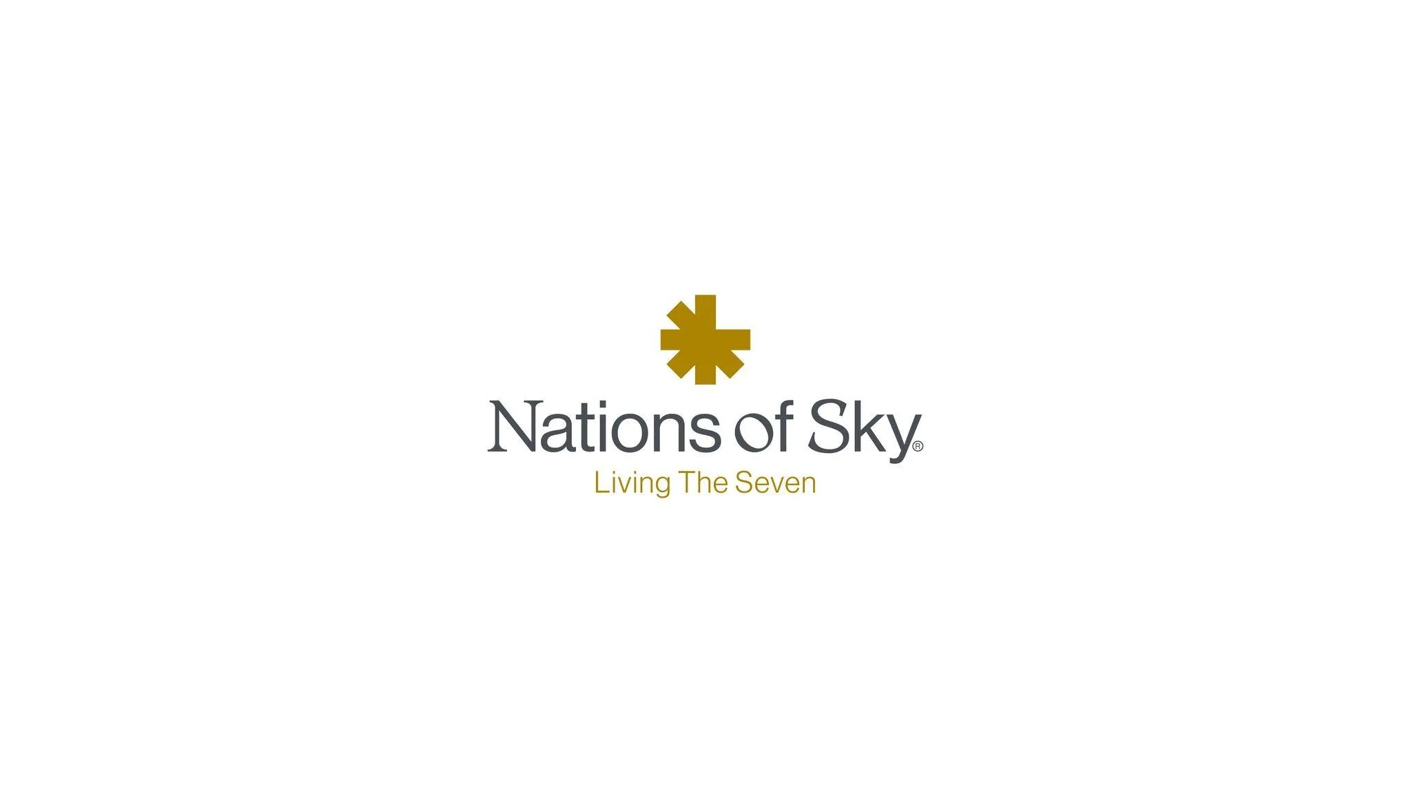 Nations of Sky Developments Logo
