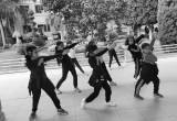 صورة المنصورة كولدج إنترناشونال المنصوره - رقم 18469