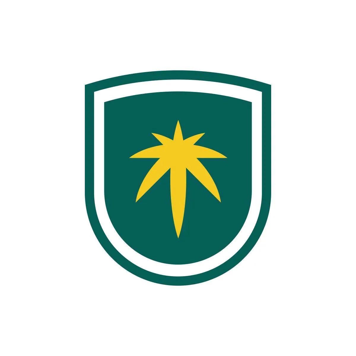 HalleyInternational School HIS Logo