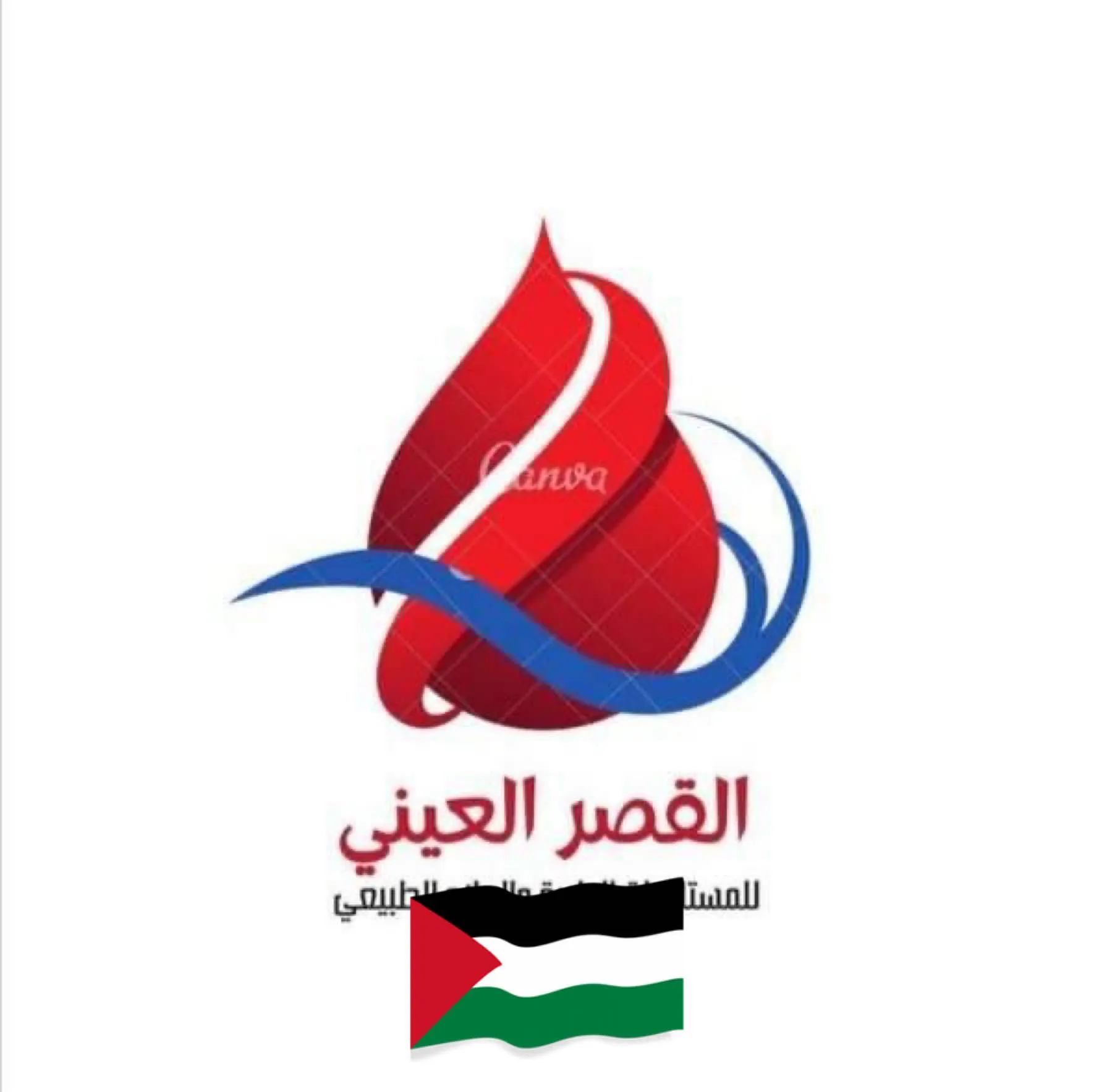 القصر العيني للمستلزمات الطبية - Logo
