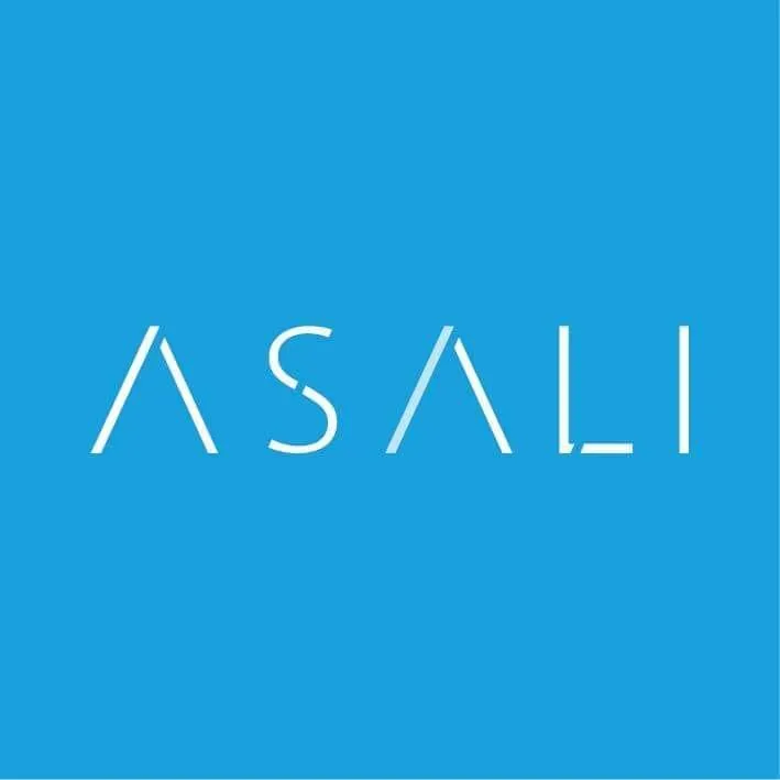 ASALI Engineering Consulting & Project Management Logo