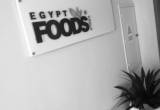 صورة شركة مصر للأغذية - رقم 19475