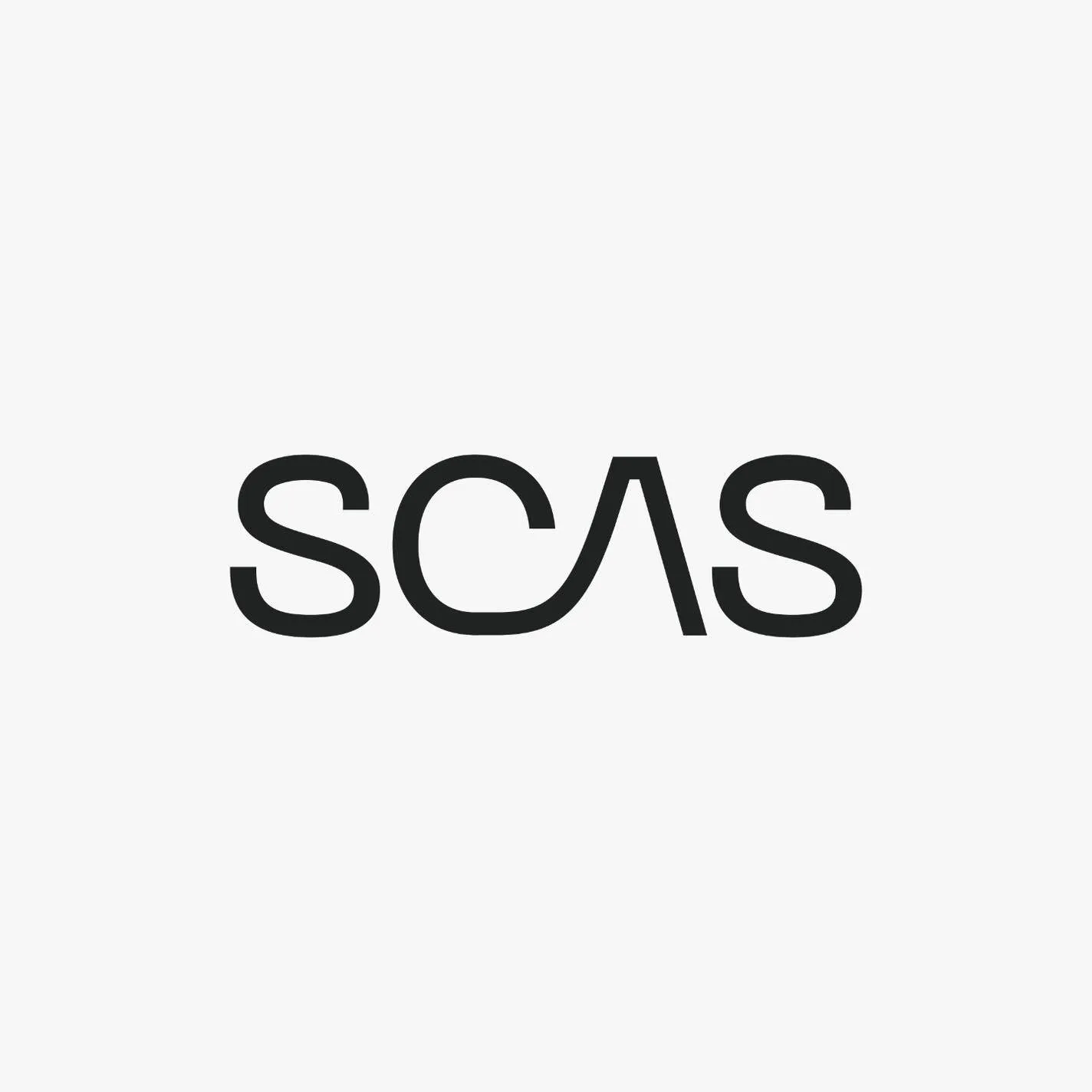 شركة سكاس مصر Logo