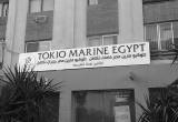 صورة طوكيو مارين مصر - رقم 20581