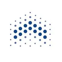 International Securities L.L.C. - Logo