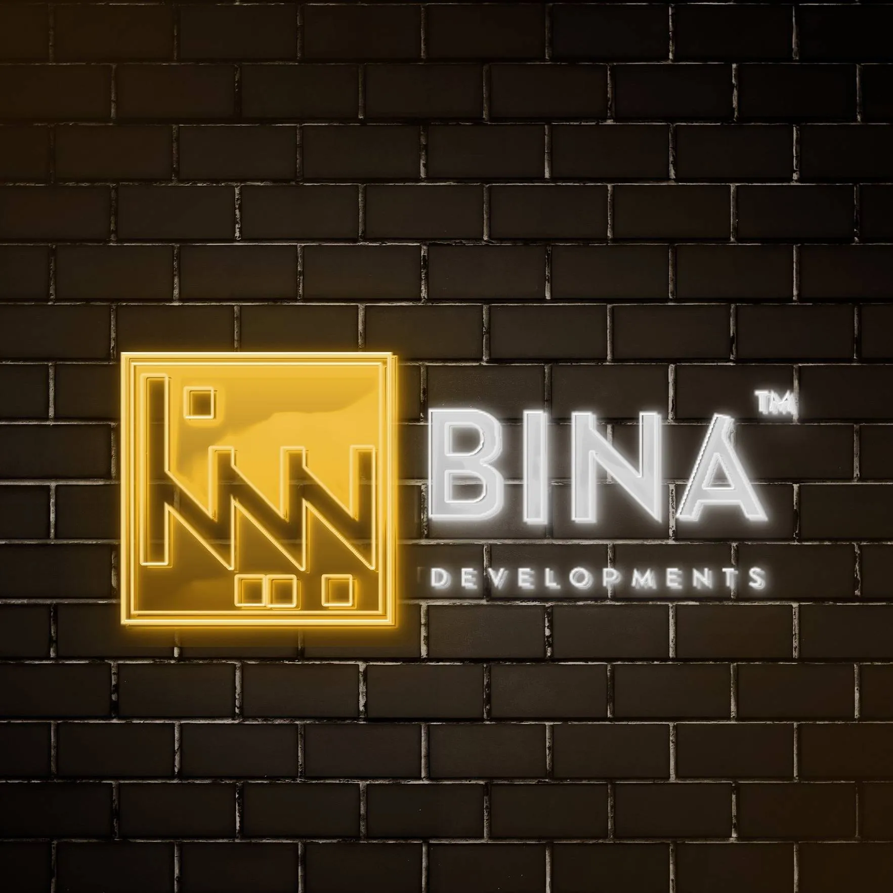 بينا للتطوير العقاري Logo