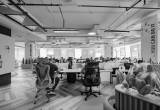 صورة شركة أويا للعقارات - رقم 24682