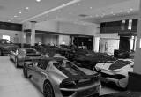 صورة في آي بي موتورز - رقم 24839