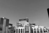 صورة بنك الاتحاد - رقم 25085