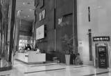 صورة شركة نفط الشمال - رقم 25252