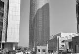 صورة شركة نفط الشمال - رقم 25245