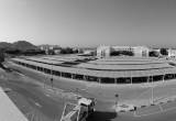 صورة شركة تنمية نفط عمان - رقم 25253