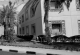 صورة شركة صناعة الكيماويات البترولية - رقم 25306