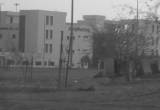 صورة نيوفارما - رقم 25645
