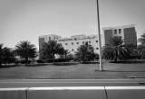 صورة نيوفارما - رقم 25639