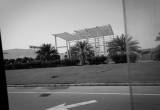 صورة نيوفارما - رقم 25646