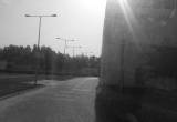 صورة شركة جلوبال فارما (ذ.م.م.) - رقم 25655