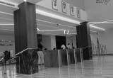 صورة شركة فارما لينك - رقم 25668