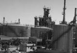 Photo Alexandria Mineral Oils Co. (AMOC) - Number 25797